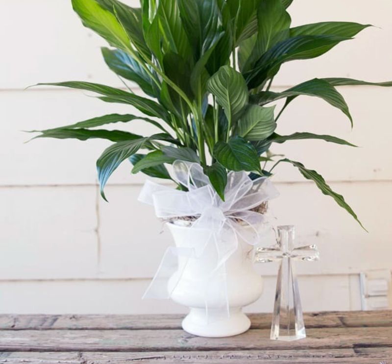 Hill's Floral Design