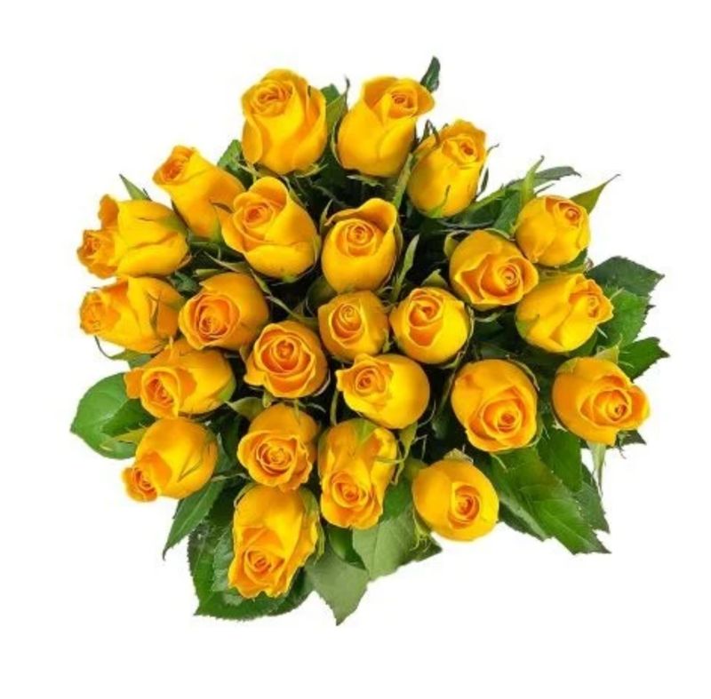 Two Dozen Yellow Roses Wrapped