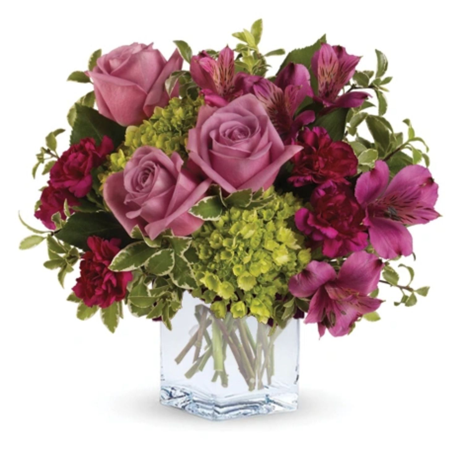 A Splendid Surprise!