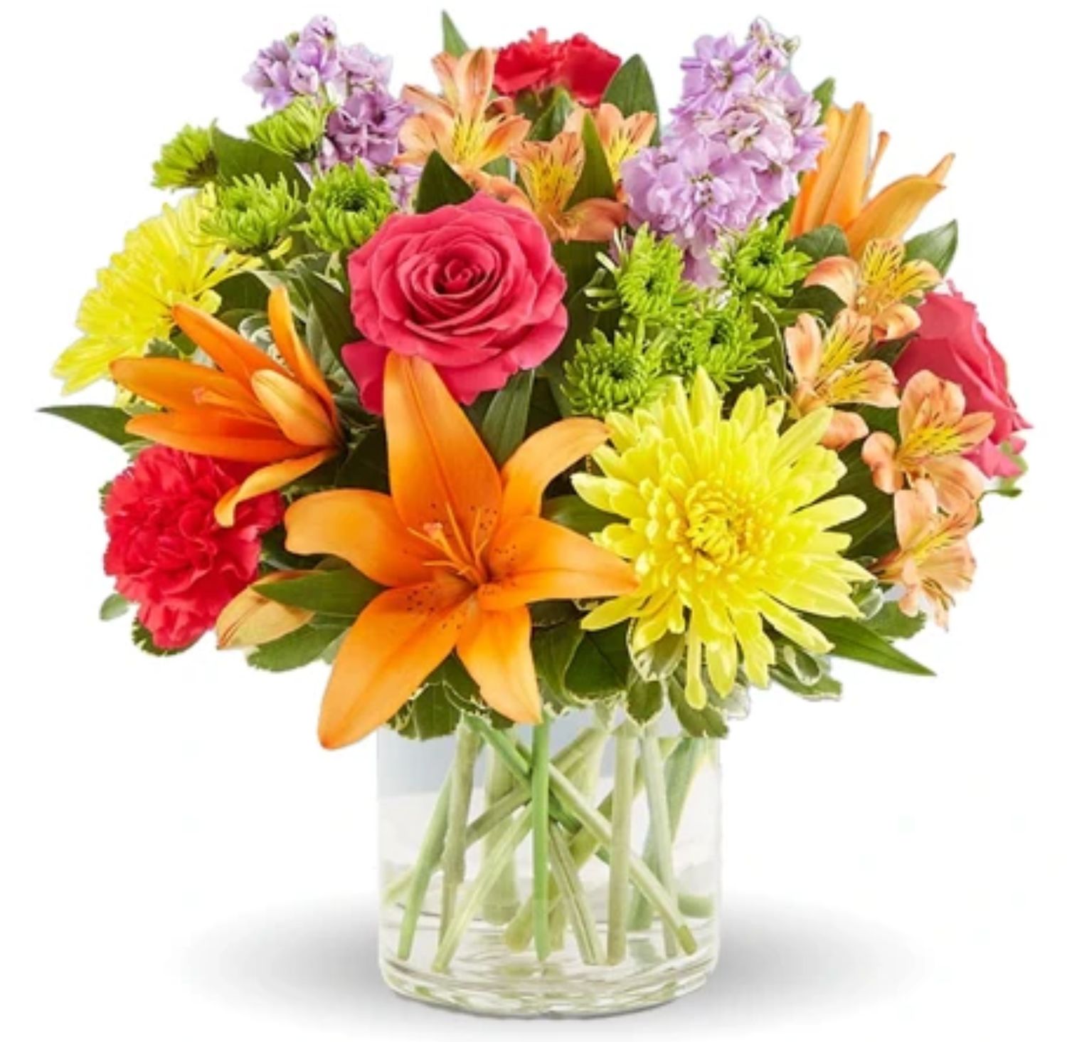 Burst Of Color