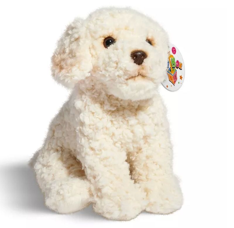 10" Labradoodle