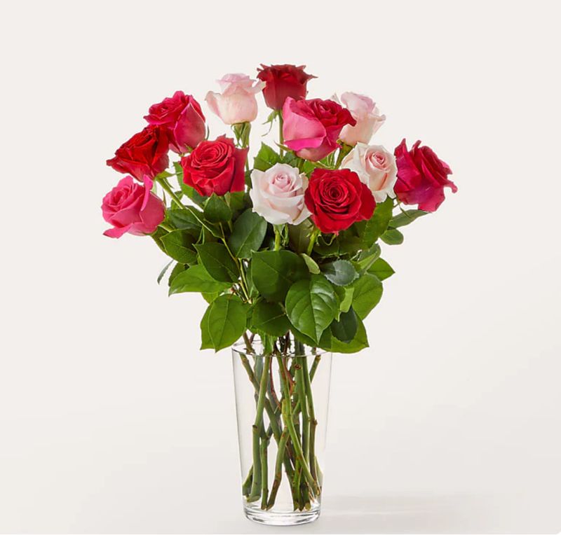 Hot Pink Toddy  Dozen Roses