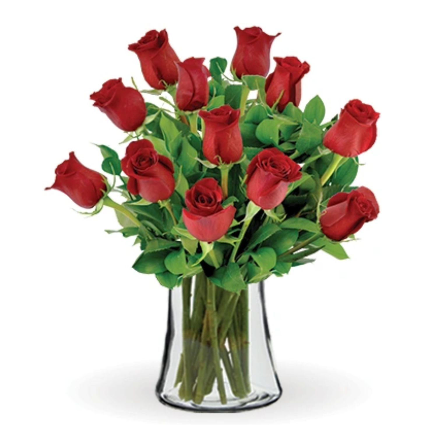 One Dozen RED Roses