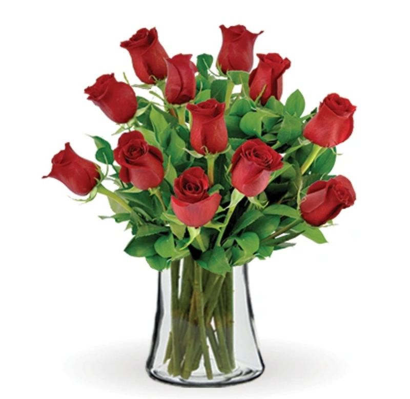 One Dozen RED Roses
