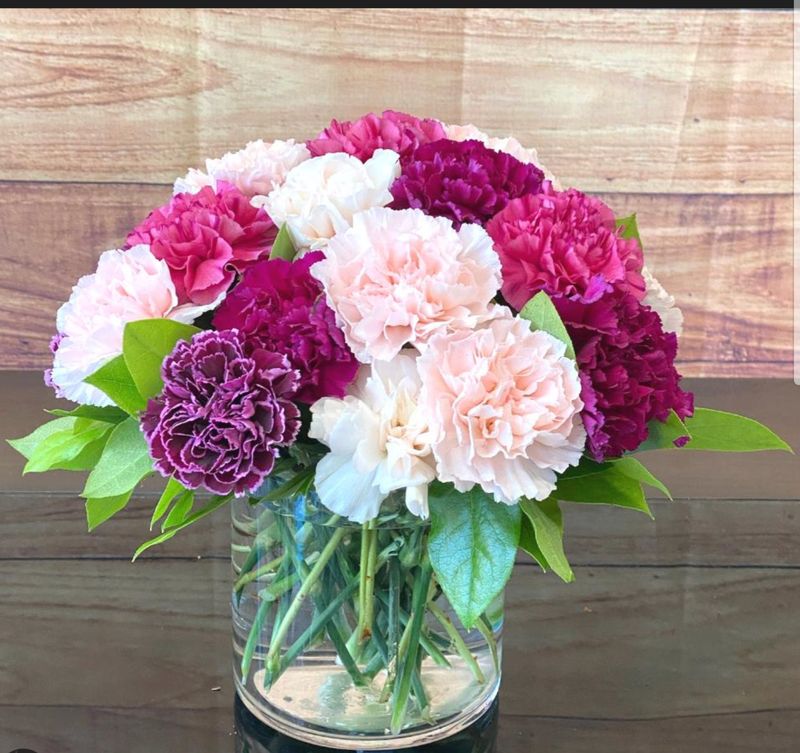 Cutesy Carnations ( 18 Count)