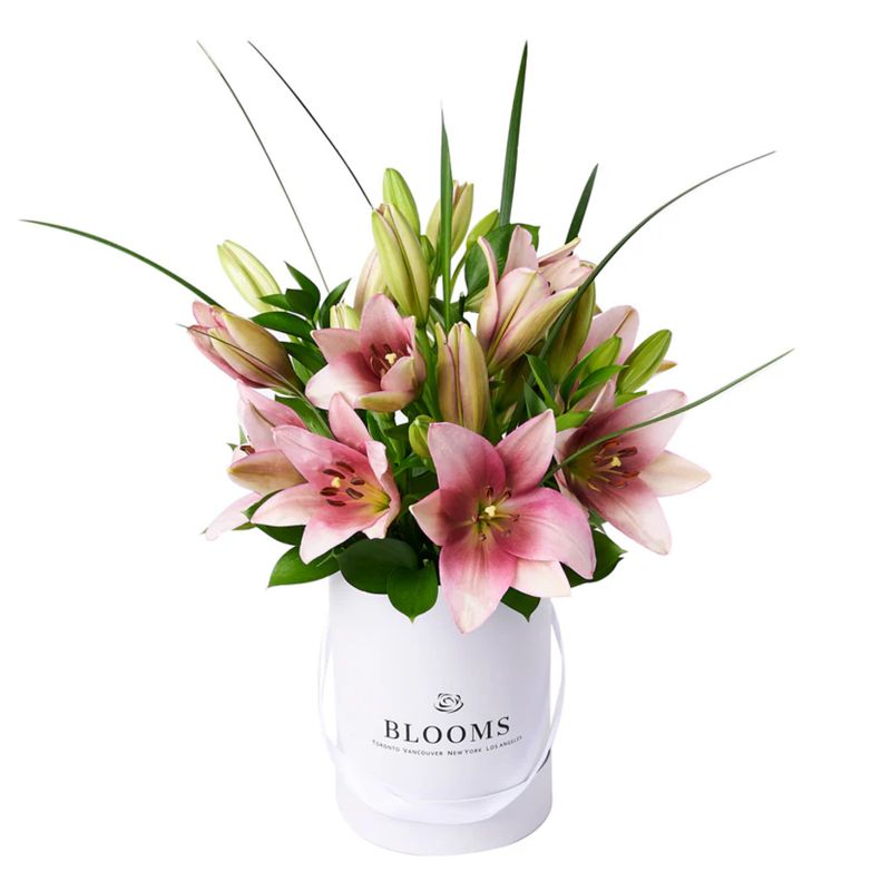 Glorious Lily Gift Box