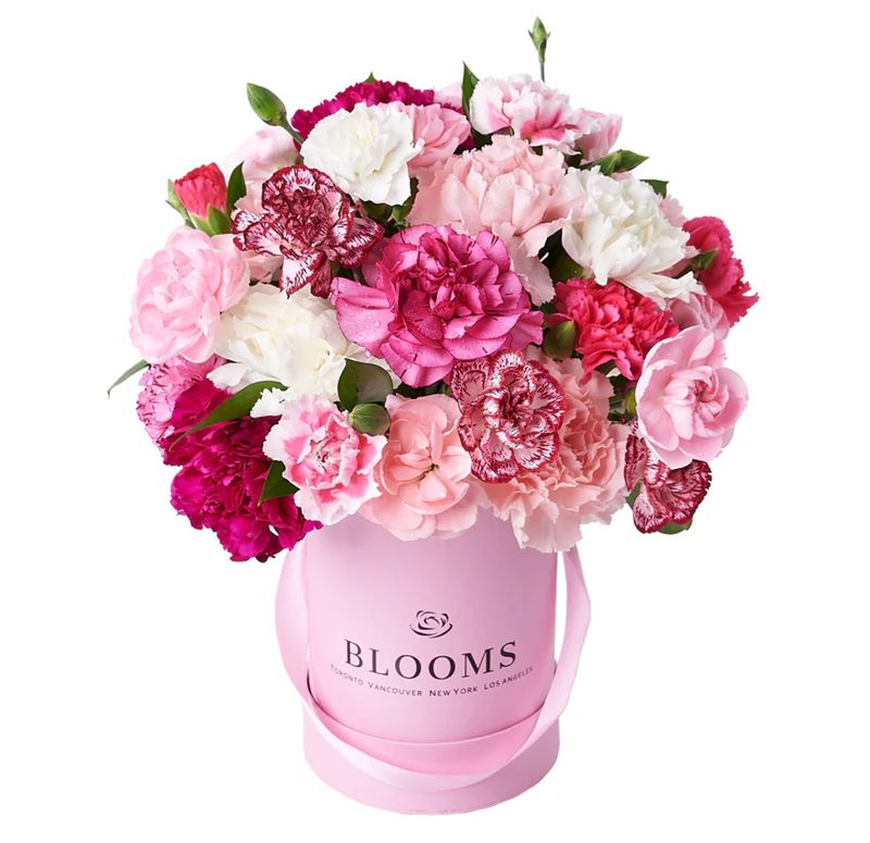 Perfectly Pink Carnation Gift Box