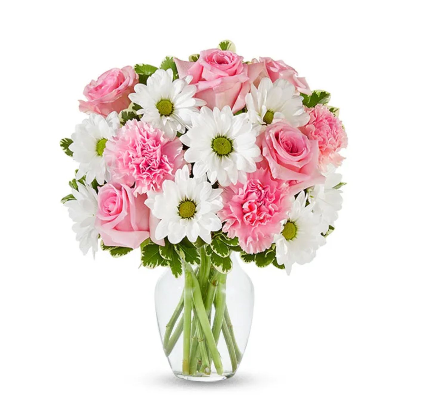 Pastel Daisy &amp; Rose Delight Bouquet