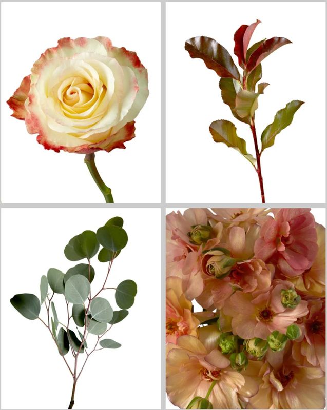 Wedding Mix - Rustic Charm