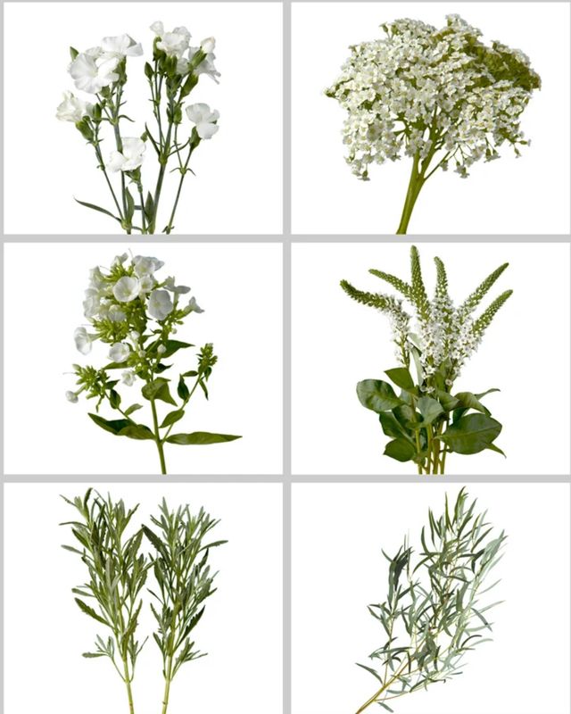 Greenery Mix - Filler Flowers