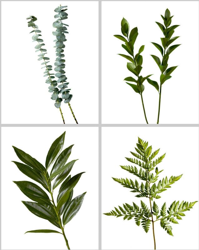 Greenery Box - Designer's Mix