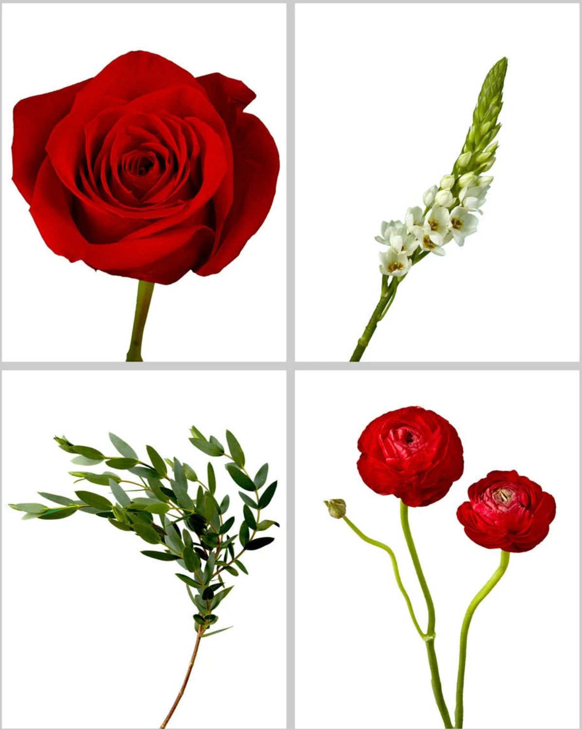 Specialty Box - Crimson Beauty