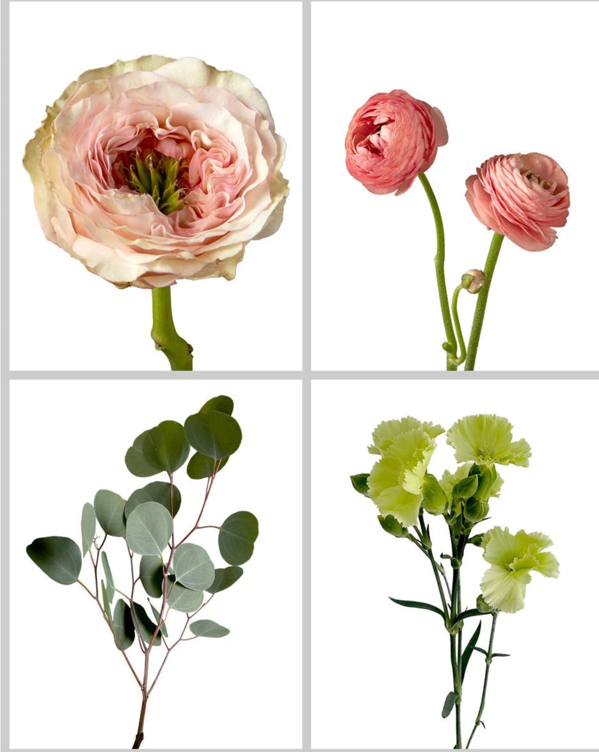 Specialty Box - Rose Garden