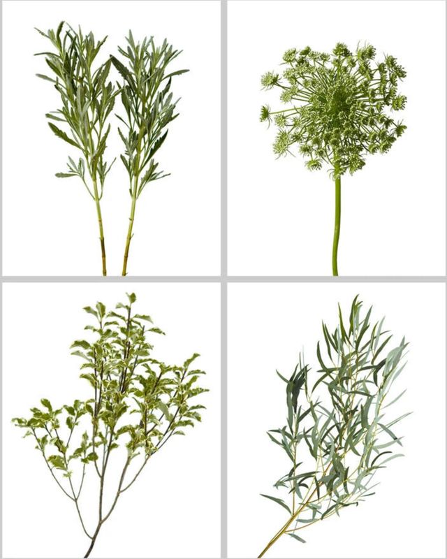 Greenery Mix - Designer's Delicate Mix