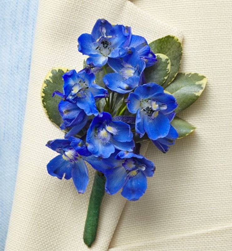 Delphinium Boutonniere