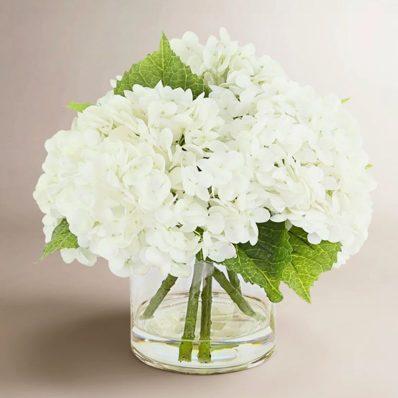 Howdy Hydrangea (3 count w/Greens) Howdy Hydrangea (3 count w/Greens)