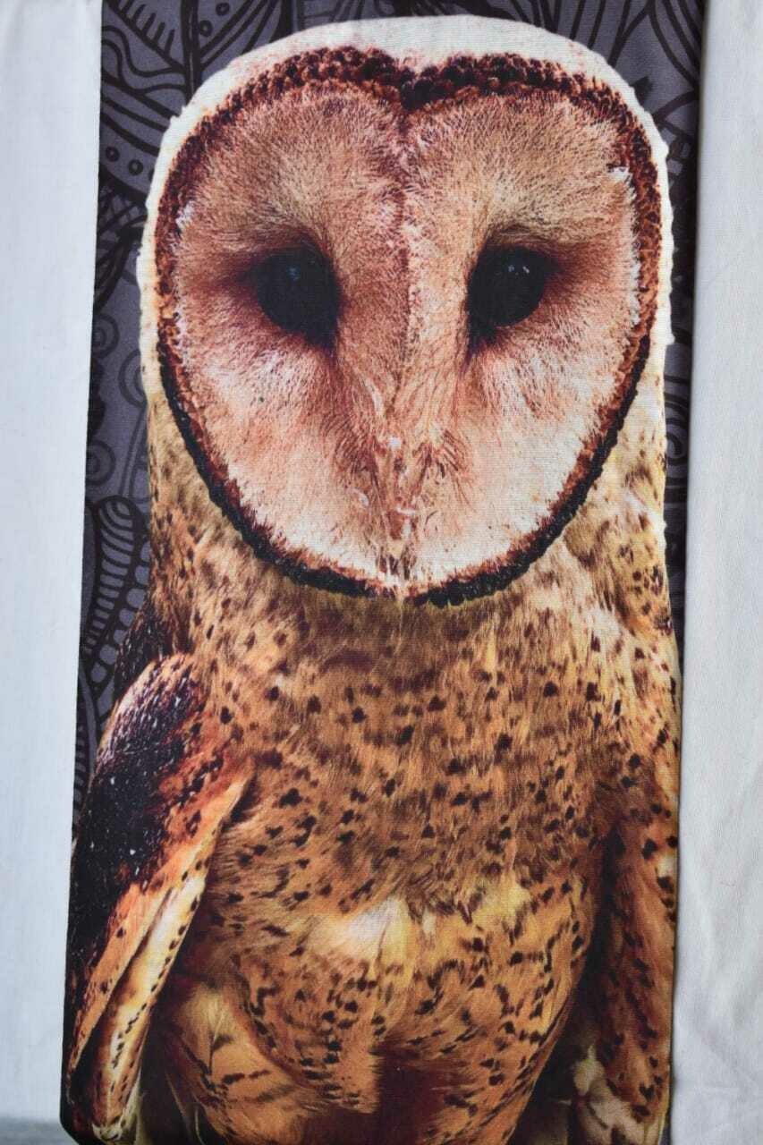 Buff Lechuza común