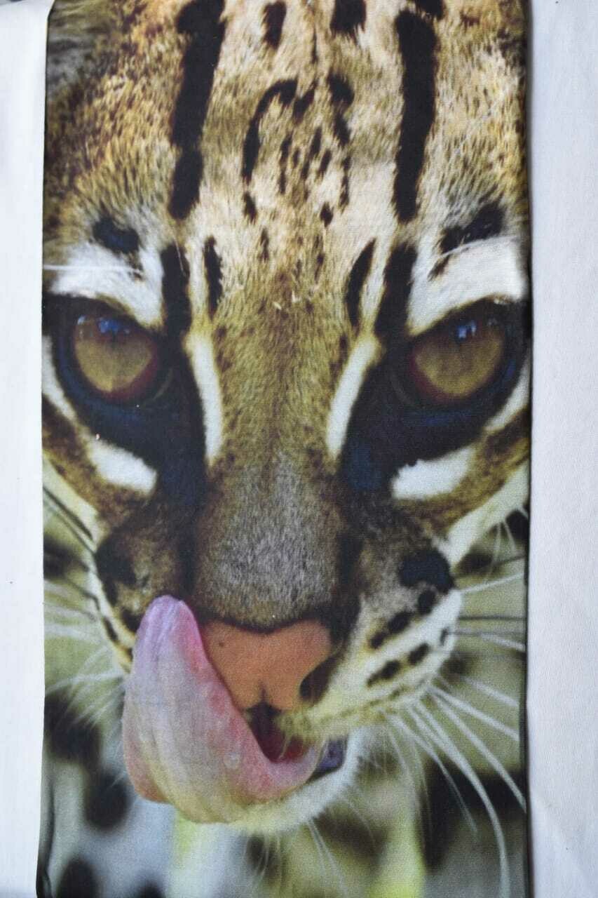 Buff  Ocelote