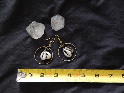 Cowrie Shell Earrings