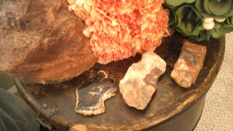 Petrified Wood