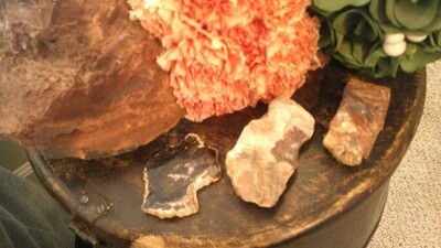 Petrified Wood