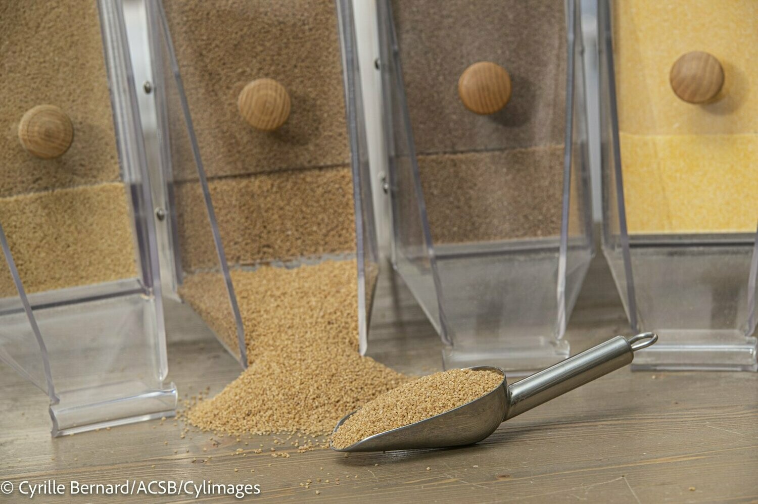 Couscous de petit épeautre Couscous de petit épeautre
