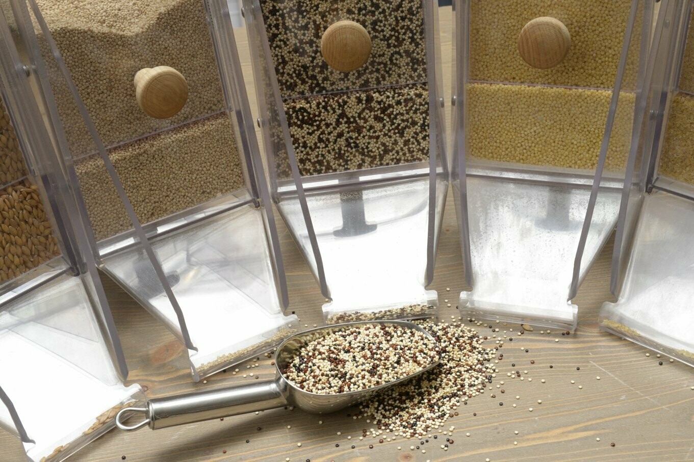 Quinoa multicolore Quinoa multicolore