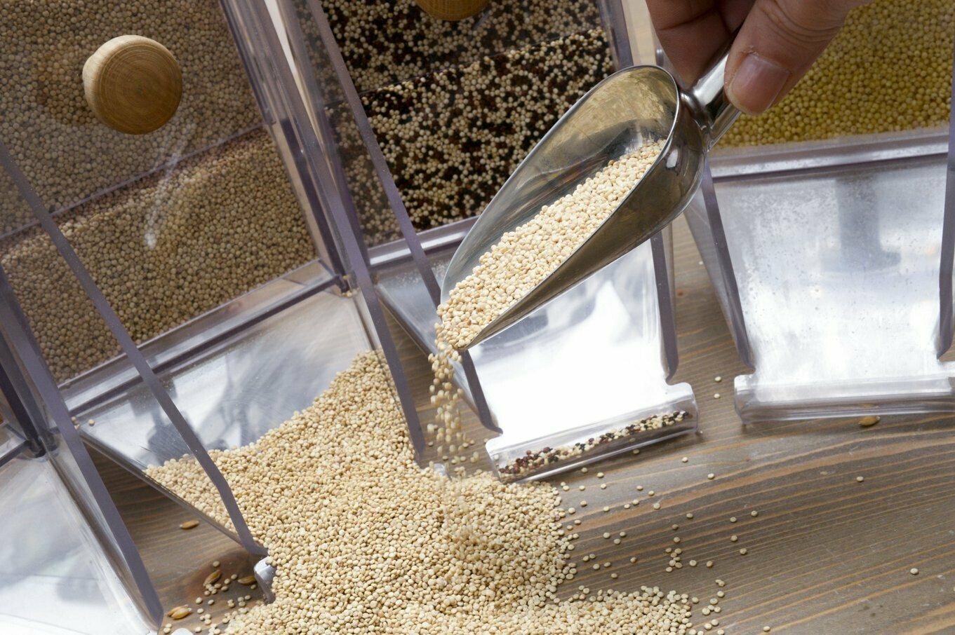 Quinoa blanc - France