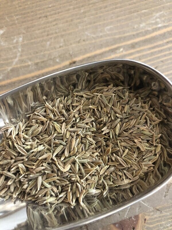 Cumin graines