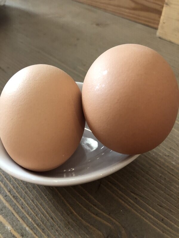 Œuf