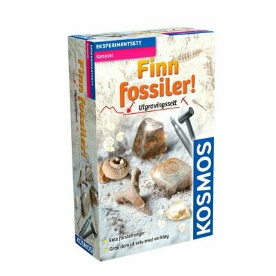 Science kit Finn fossiler