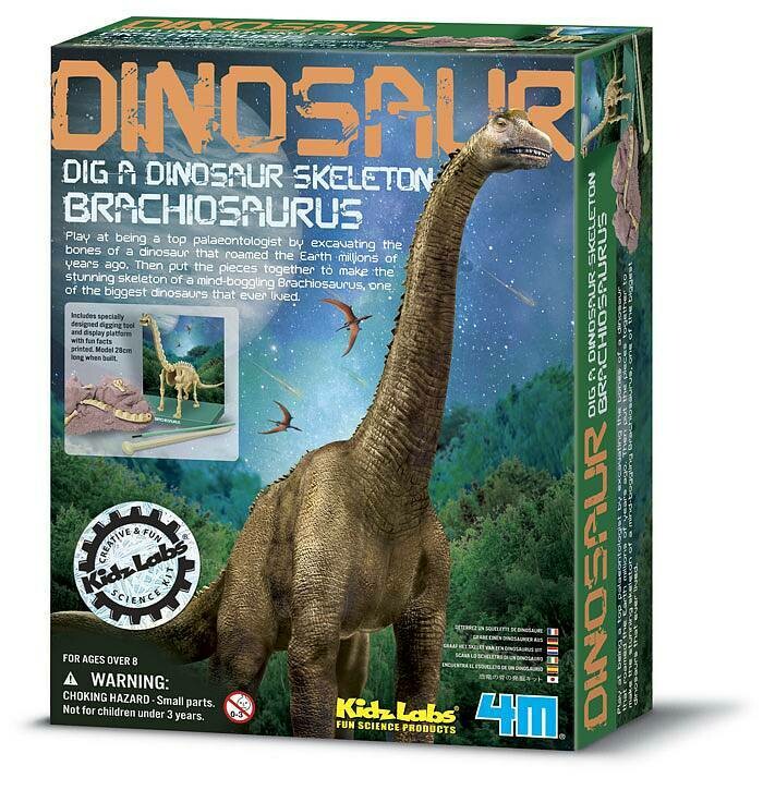 Dig a dinosaur - Brachiosaurus Skeleton