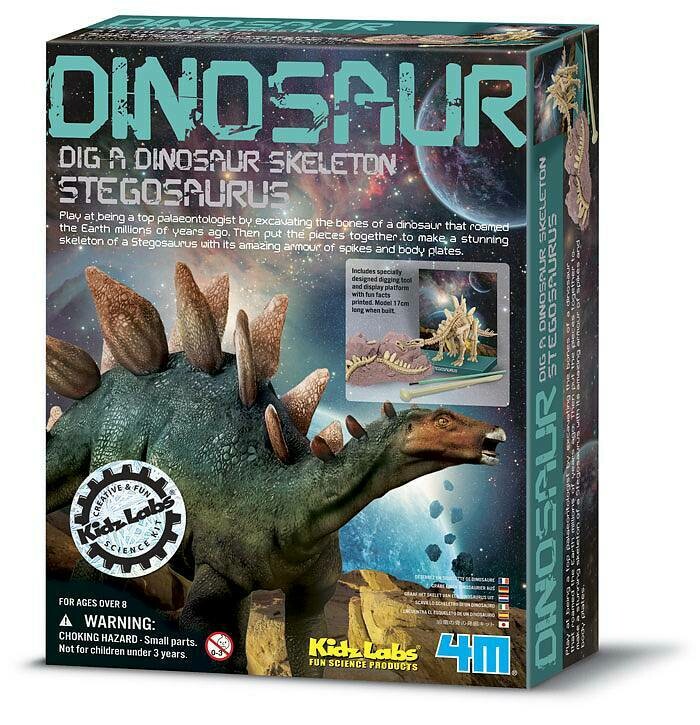 Dig a dinosaur - Stegosaurus Skeleton