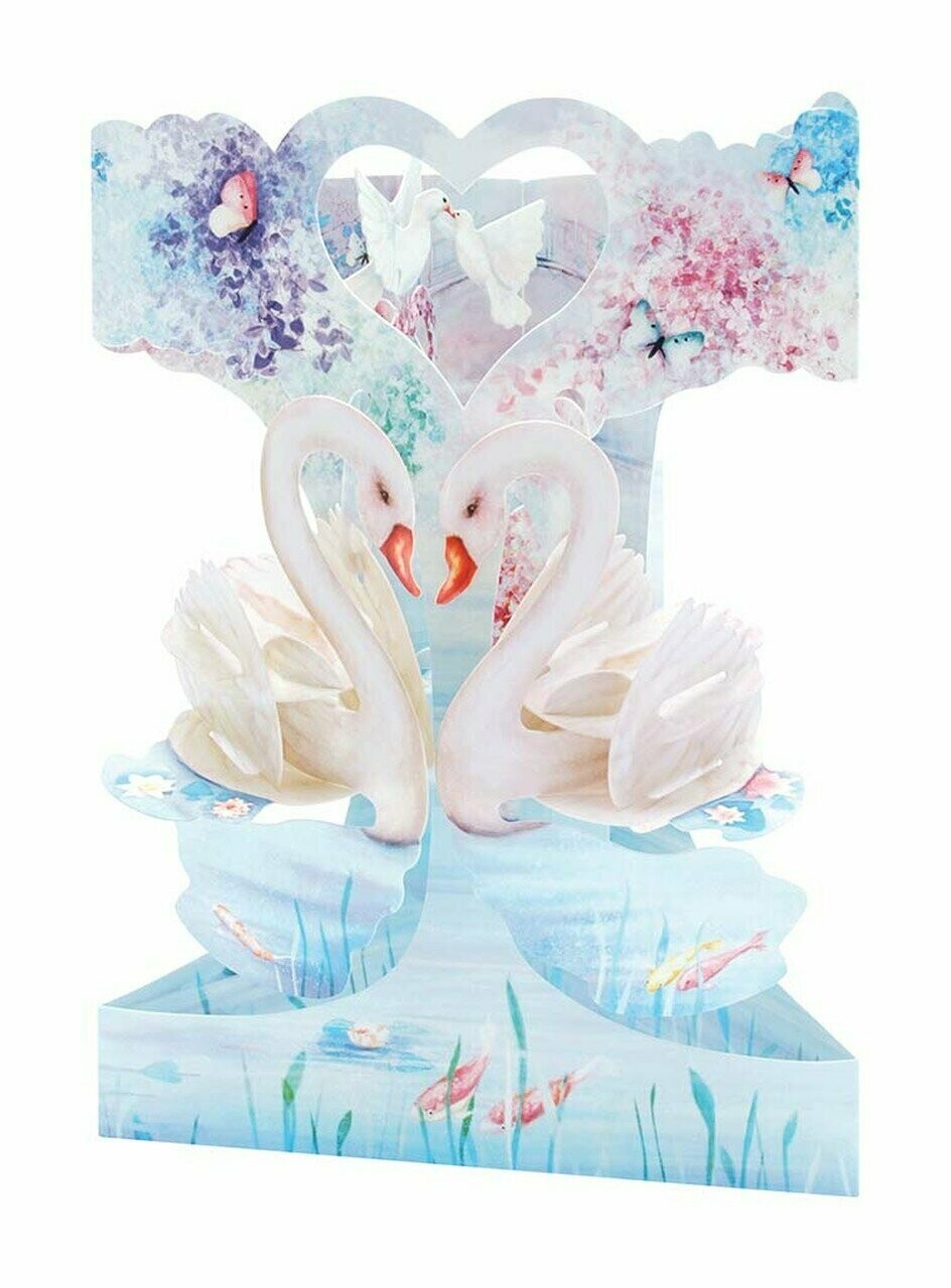 Swing card - Swans