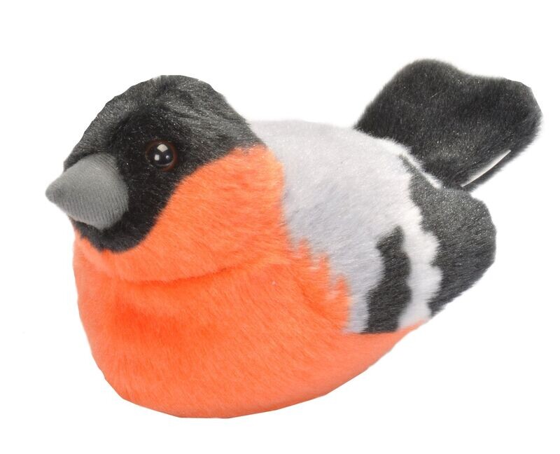 Wild Republic - Domherre