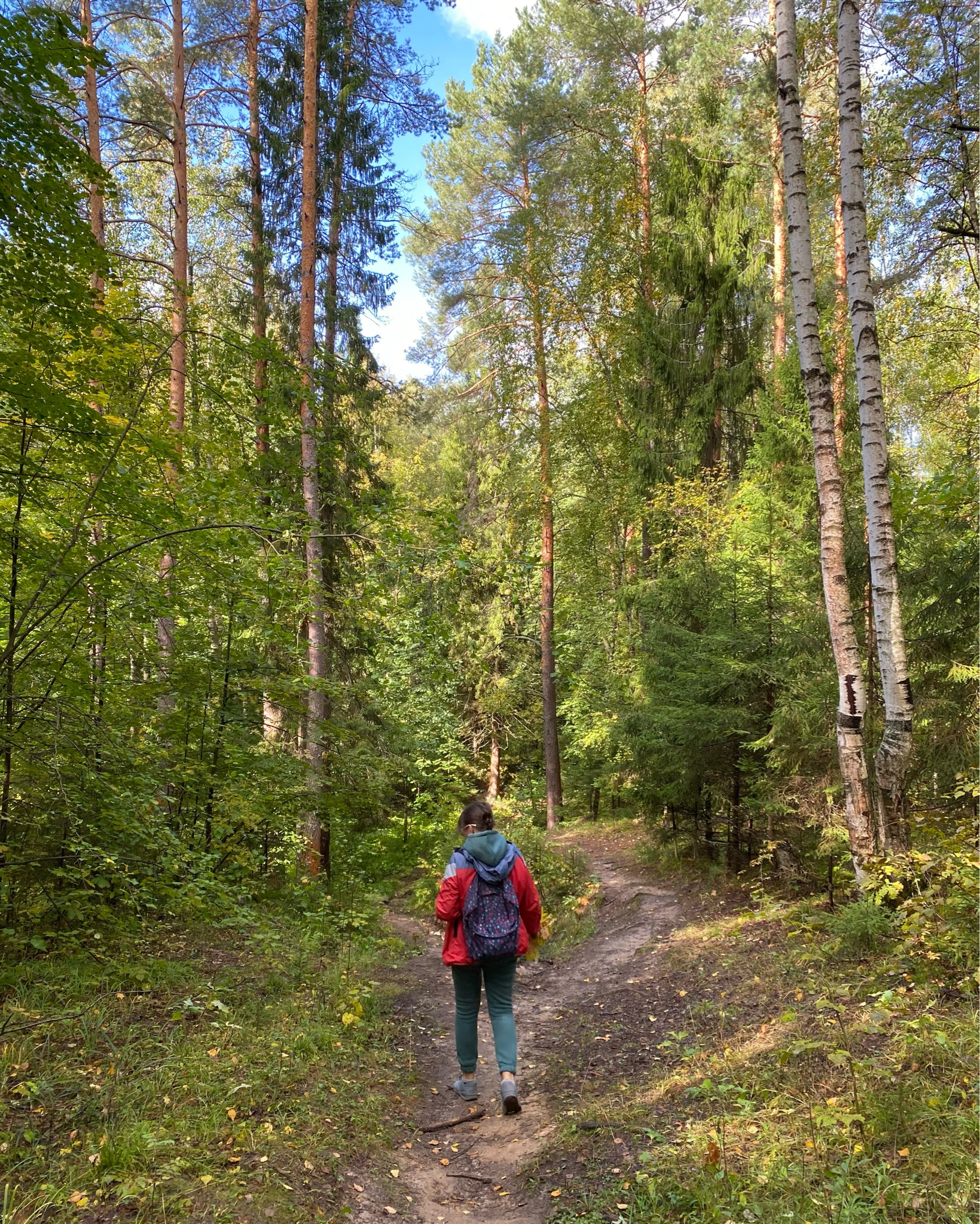 мещерский парк вечером