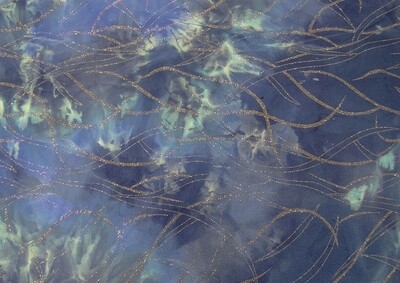 Lycra Sport c/Glitter