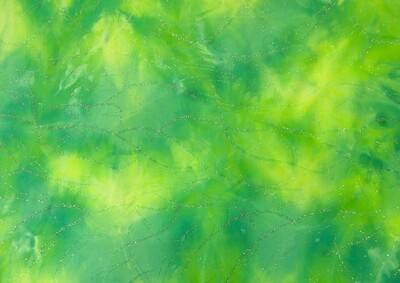 Lycra Sport c/Glitter