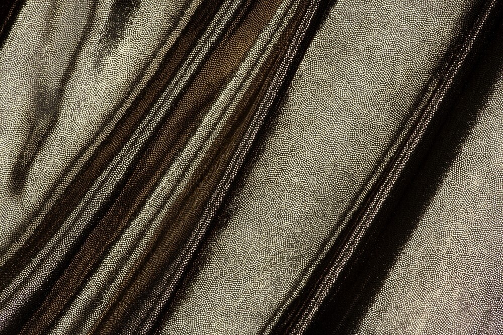 Lycra Honey Preto Dourado