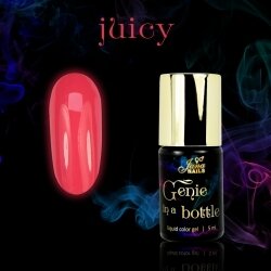 GENIE Liquid Colorgel  - Juicy 5ml