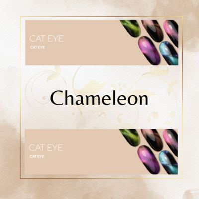 Cat Eye-Chameleon