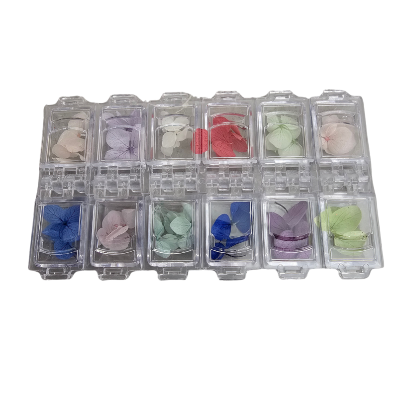 Trockenblumen Nailart  Box 12-teilig