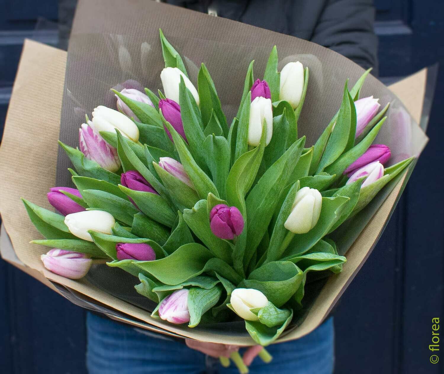 Brassée de tulipe multicolore