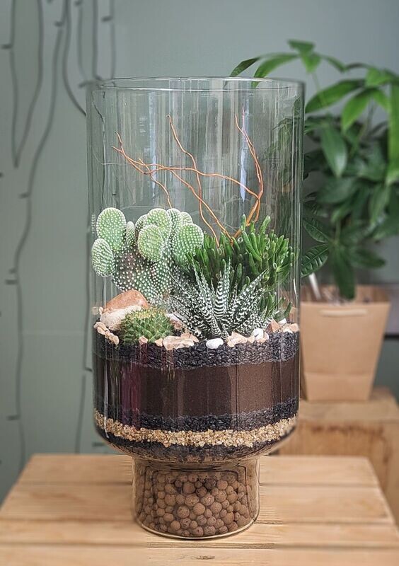 Terrarium  tower plante grasse