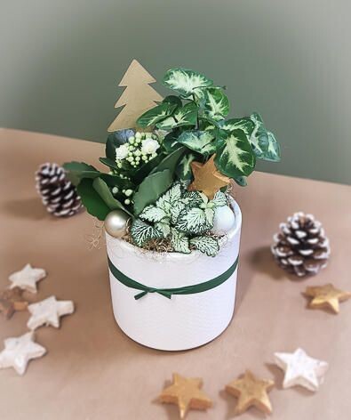 Lutin