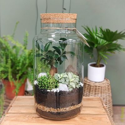 TERRARIUM