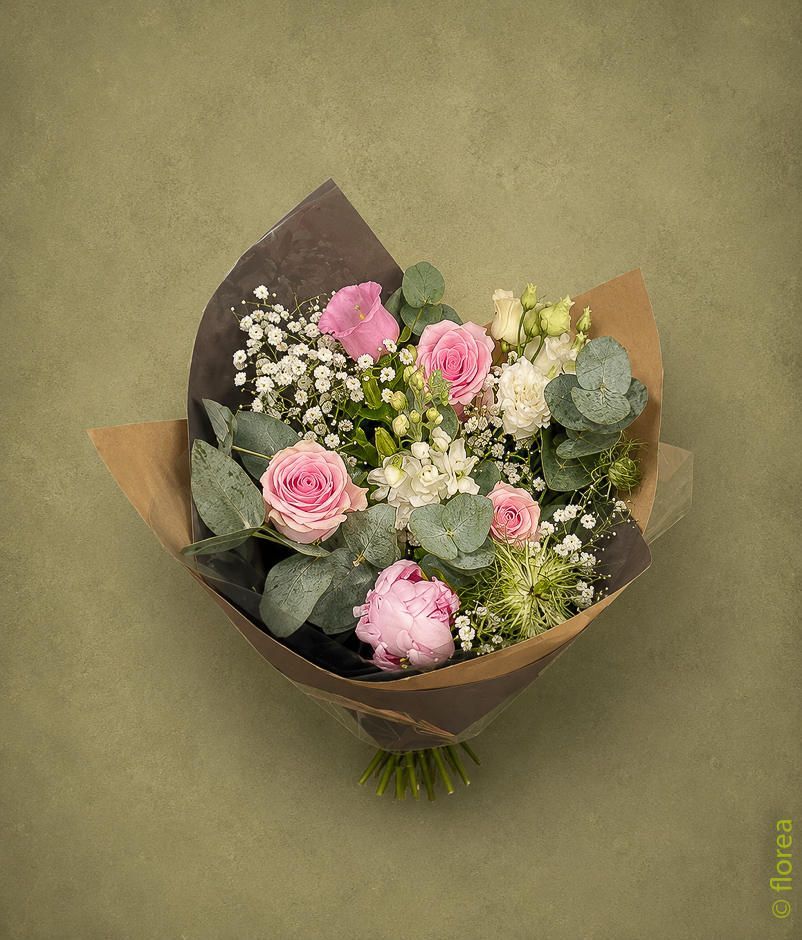 pivoine champetre