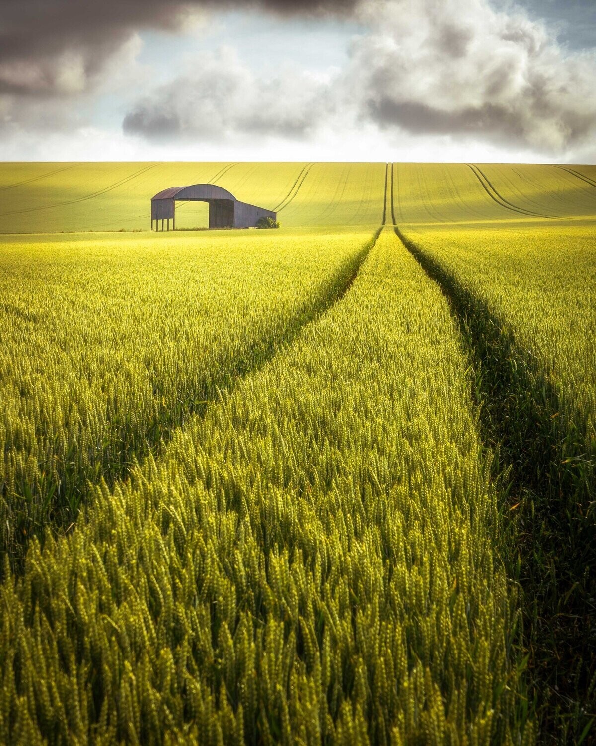 Dorset Barn