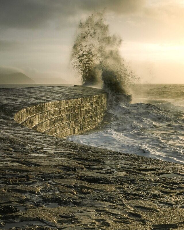 The Cobb 1