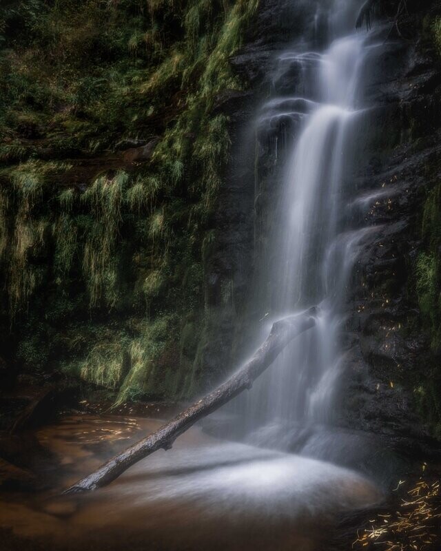 Blaen y Glyn Isaf